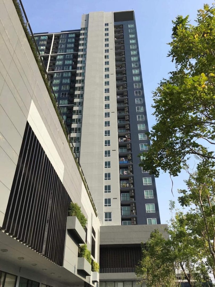 ให้เช่า เดอะ เบส สุขุมวิท 77 (AS-02) FOR RENT : The Base Sukhumvit 77 (AS-02) BTS Onnut