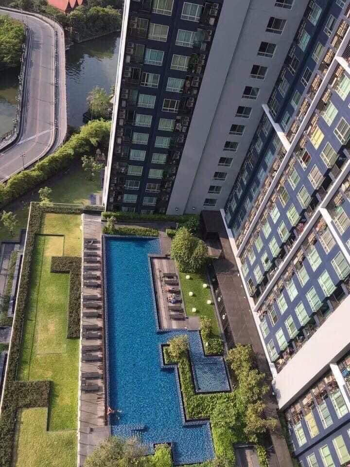 ให้เช่า เดอะ เบส สุขุมวิท 77 (AS-02) FOR RENT : The Base Sukhumvit 77 (AS-02) BTS Onnut