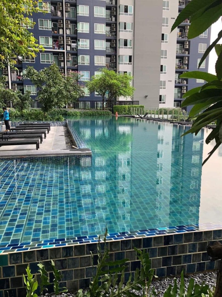 ให้เช่า เดอะ เบส สุขุมวิท 77 (AS-02) FOR RENT : The Base Sukhumvit 77 (AS-02) BTS Onnut