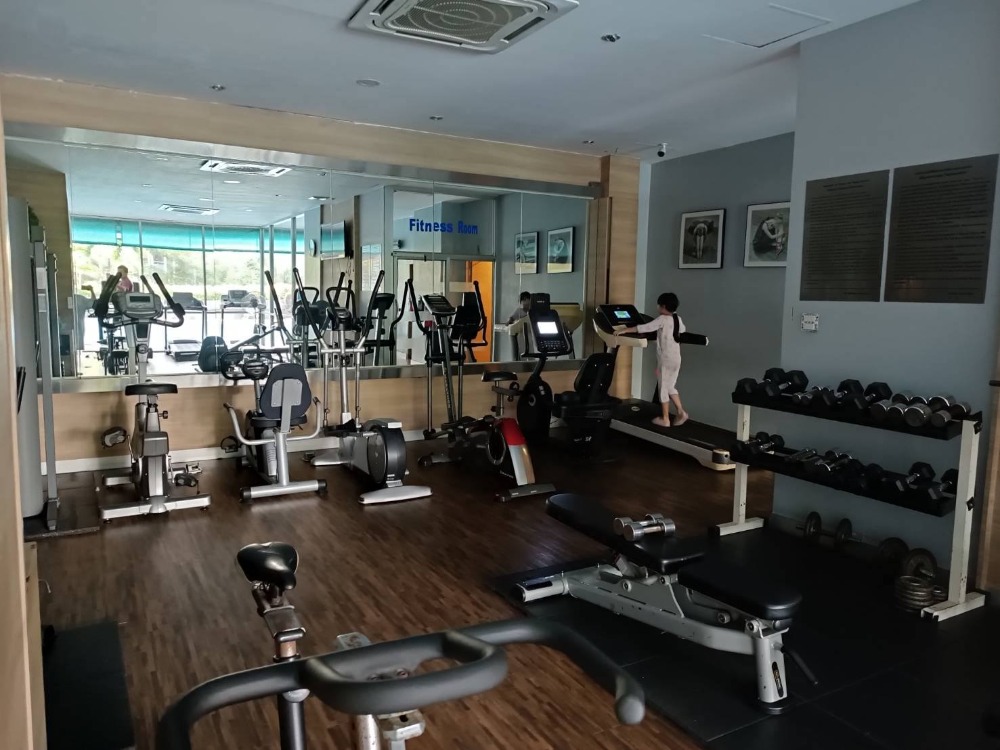 🏡คอนโดให้เช่า เลี้ยงสัตว์ได้ : วิทยุคอมเพล็กซ์  : Wittayu Complex **Pet-friendly** ((BTS  Ploen Chit)) WL-02 (LINE : @Condo52)