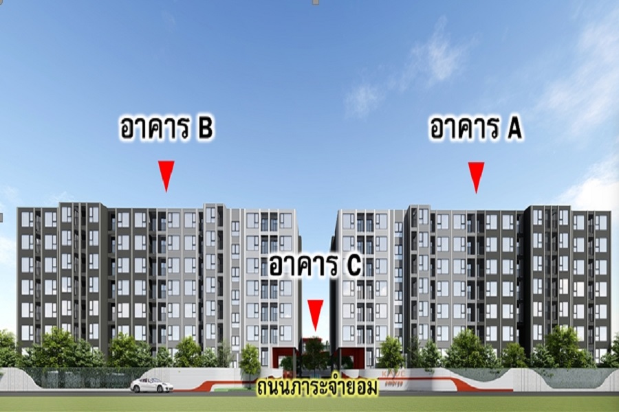 KAVE-Embryo-Rangsit